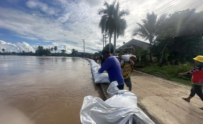 385846925_717998413700972_9105139446056082481_n