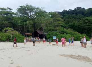 Top Pattaya News From The Last Week: Russian Couple Eats Cannabis-Infused Cake and Suffers Panic Attack, and More