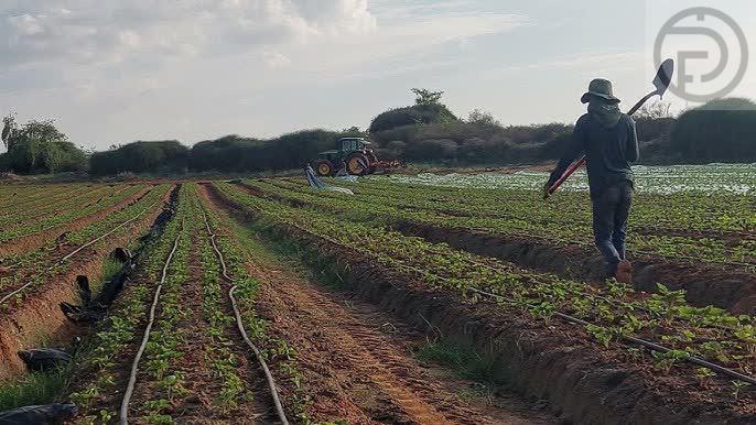 226e89861010863fdb03d568d3dc0130_small