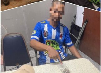 Man Arrested with Magic Mushrooms at Patong Cannabis Shop