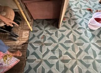 Three Month Old Baby Seriously Injured after Monkey Attack in Phang Nga