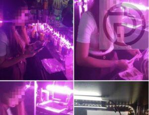 Myanmar Woman Arrested for Illegally Working at Bar in Patong
