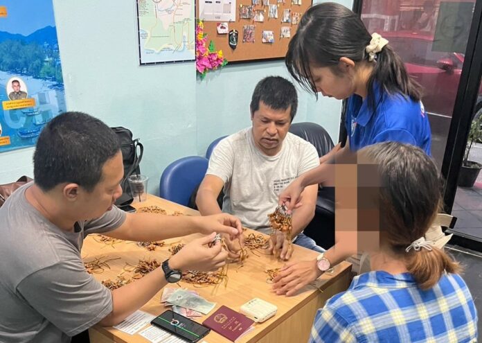 405791747_734534305366682_1336227782924759069_n