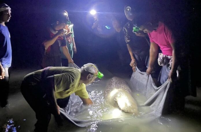 405905615_755628393265466_173667769068855639_n