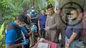 Local Resident Aids in Arrest of Man with 36,000 Methamphetamine Pills in Phuket