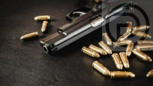 Government Expedites Firearm Control Efforts