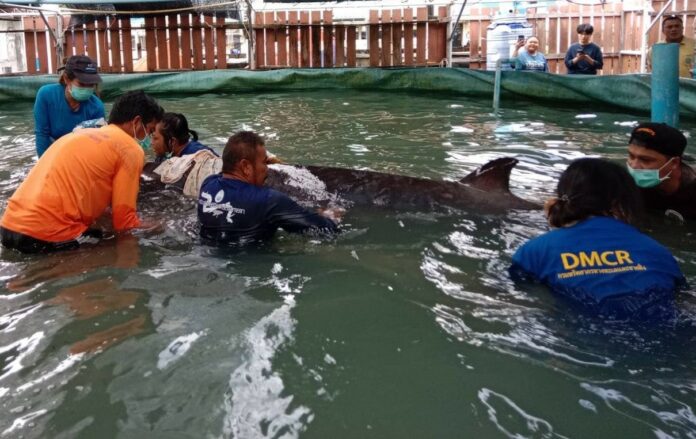 406461233_679629534333753_8116853420124606670_n