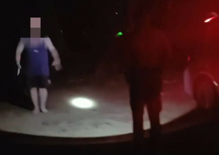 الأطباق الرئيسية