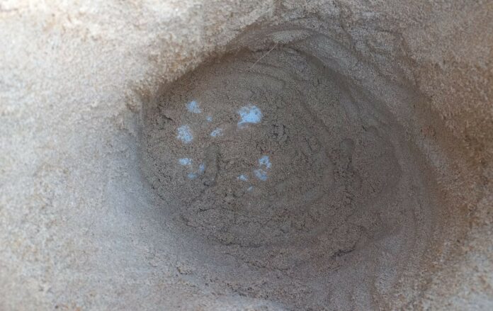 415192344_791810416319659_8278736070052847518_n