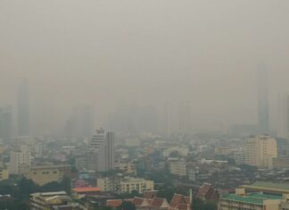 Poll Reveals Concern Over Rising PM2.5 Pollution