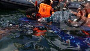Dolphin Rescued From Fishing Net in Trang – Video