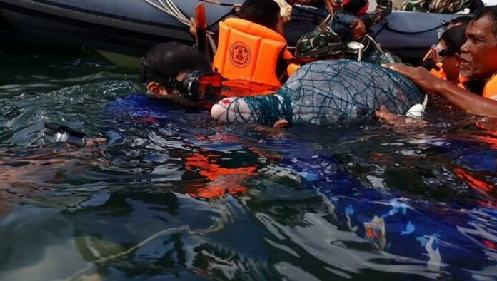 420087834_709920091321027_8451051163171815140_n