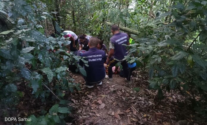 429476832_3725290821131603_5523536951104845300_n