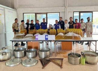 Kratom Juice Vendor Arrested in Thalang