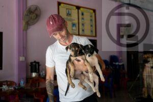 Niall Harbison and Soi Dog Foundation join forces for street dogs with mass spay/neuter project