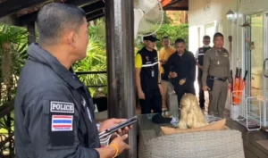 Three Russians Arrested for Allegedly Operating Beauty Clinic on Samui Island
