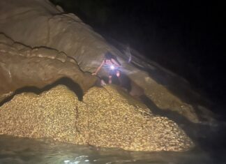 Belarusian Man Rescued After Getting Lost in Phuket Jungle