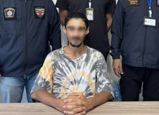 Illegal Russian Tour Guide Arrested in Thalang