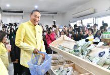 Cabinet Approves 10-Year EEC Visa, Boosts Agriculture