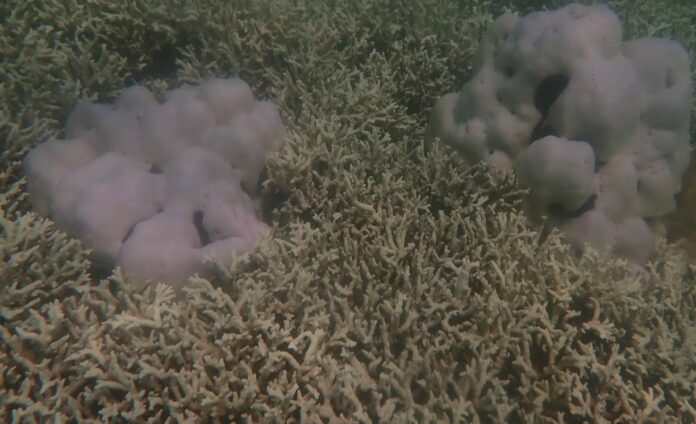 440361810_878725280954691_9085465499557907244_n