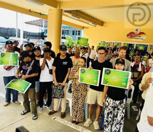 Phuket Cannabis Association Protests to Demand that Cannabis Not be Re-criminalized