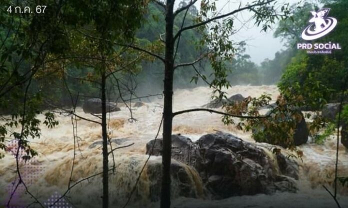 449745573_532772745750476_8317828152759864046_n