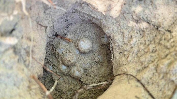 454968573_990817943080274_6895846895398087999_n