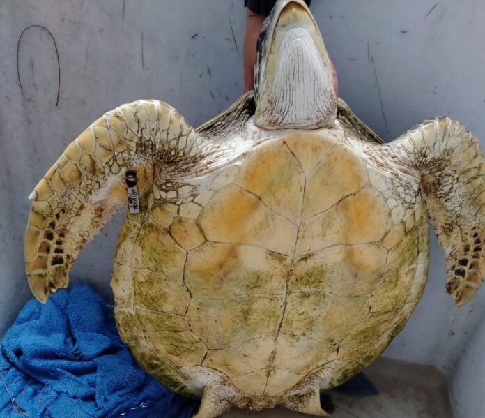 459090735_846123114290124_9015625200144683612_n