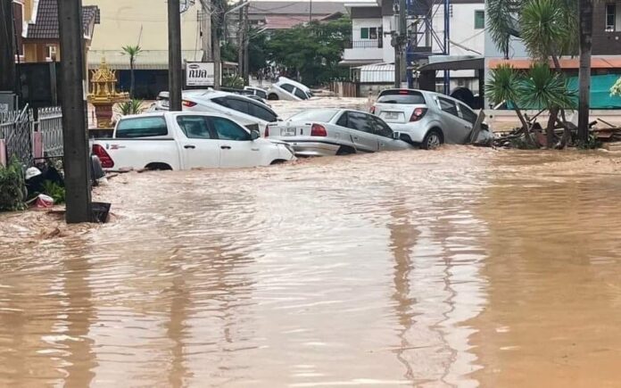 الأطباق الرئيسية