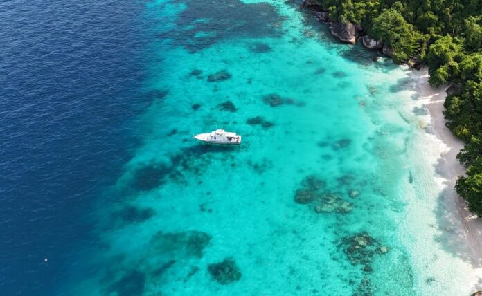 448136250_947977947364274_2222317387585321346_n