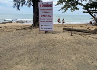 German Woman Suffers Severe Leg Wound from Fish Attack in Phang Nga