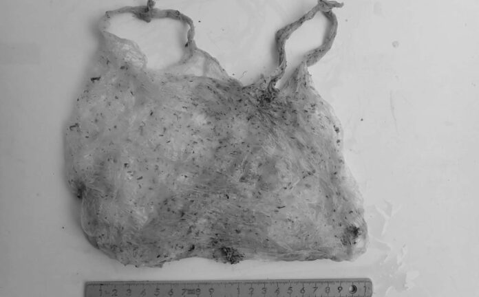 467339773_893277079574727_1227816937302388264_n