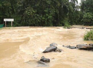 Flooding Eases in Southern Thailand but Vigilance Remains High