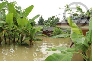 Southern Thailand Floods Impact Over 550,000 Households