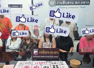 Eleven Gamblers Arrested in Thalang
