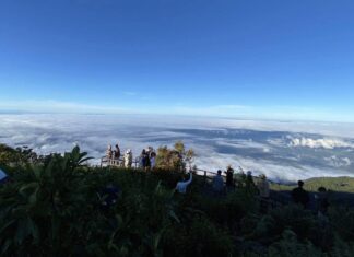 Cool Weather, Strong Winds Expects Across Thailand