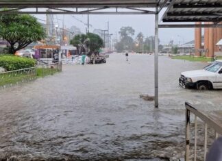 Flood Impact Hospitals in Southern Thailand