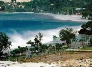 Thailand to Remember the 20th Year after Losses from Tsunami