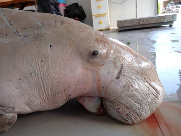 473829225_935247132044388_111334832294956332_n