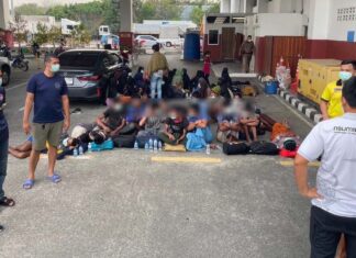 Forty-Nine Undocumented Migrants Found near Phuket Checkpoint