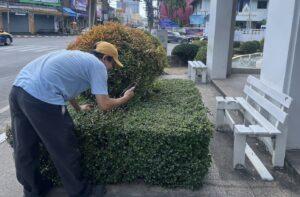 Phuket Police Warn of Trespassing While Using Popular Mobile Coin Hunting App Jagat
