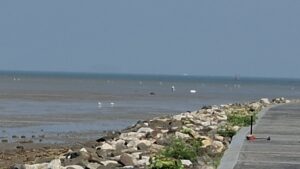 Phuket Governor Orders 24-Hour Tsunami Watch After Powerful Earthquake in Myanmar