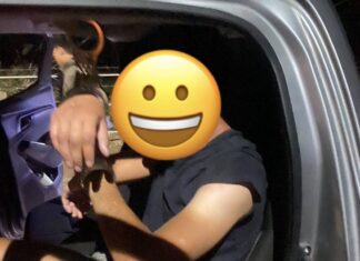 Saksalainen mies pidätettiin varastettuaan moottoripyörän thaimaalaiselta Chalongissa