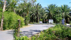 Phuket Governor Inspects Road Expansion Project to Ease Traffic Congestion