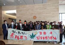 Quelle est la situation actuelle du cannabis en Thaïlande ? Explications.