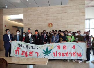 Wat is de huidige situatie met cannabis in Thailand? Wij leggen het uit