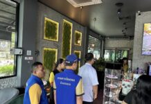 Les opérateurs de cannabis de Thalang font l'objet d'un examen minutieux en raison de violations réglementaires