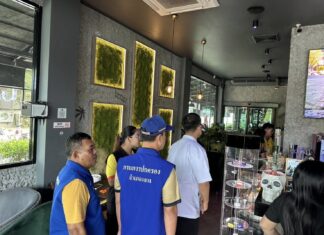 Cannabisproducenten in Thalang worden gecontroleerd vanwege overtredingen van de regelgeving