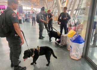 Les héros canins renforcent la sécurité à l'aéroport de Phuket pendant la période des fêtes en Thaïlande.