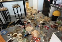 Un propriétaire de Phuket choqué par la chambre de location remplie de déchets d'une belle locataire